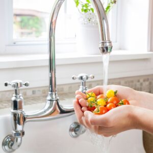 sink with tomatoes