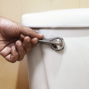 flushing toilet