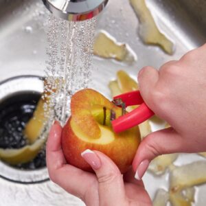 Person peeling an apple into a garbage disposal